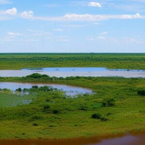 brésil Pantanal Sud magnifique paysage