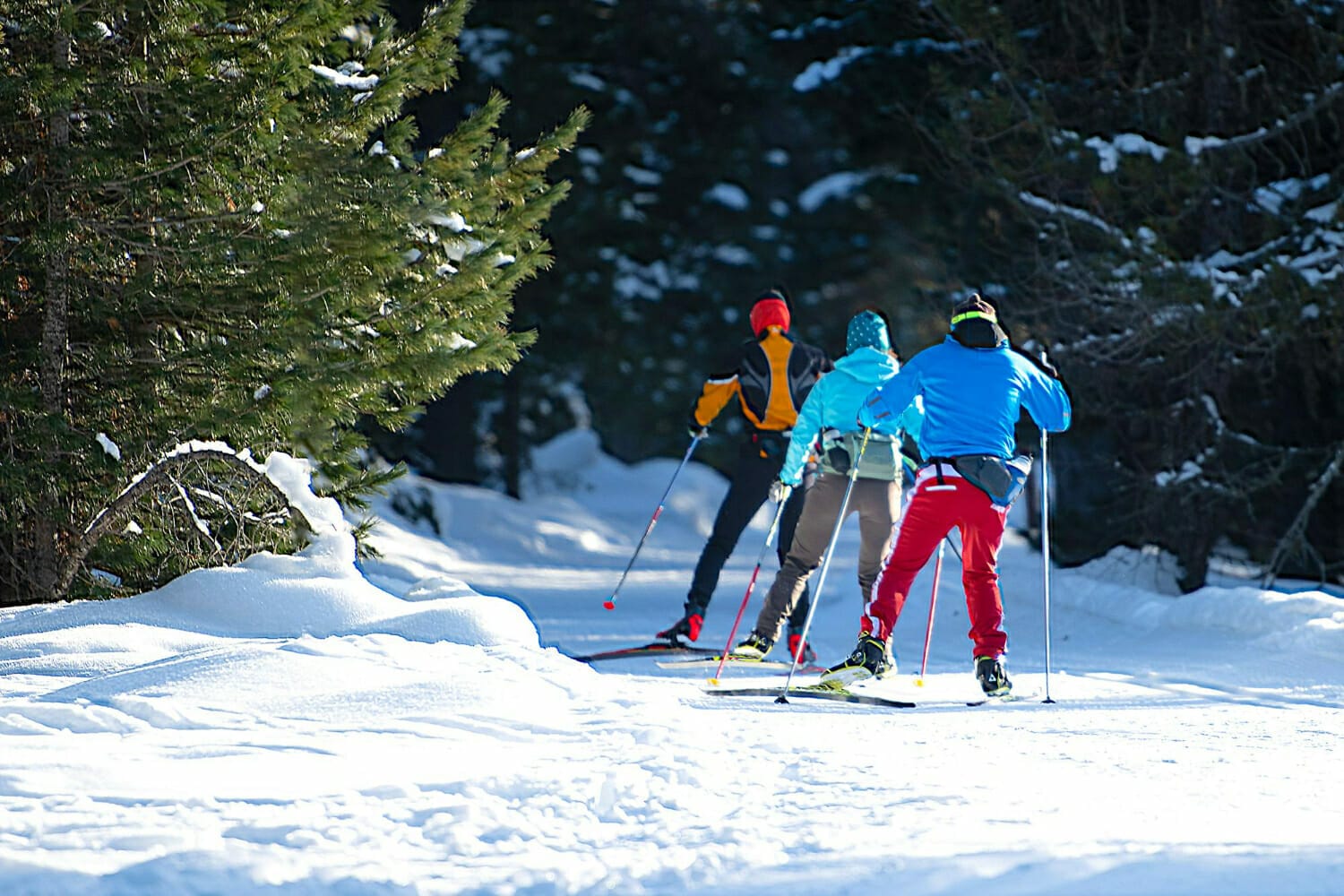 You are currently viewing Ski de fond au Grand Coin. Plan des pistes, domaine skiable nordique, séjour ski et location de vacances.