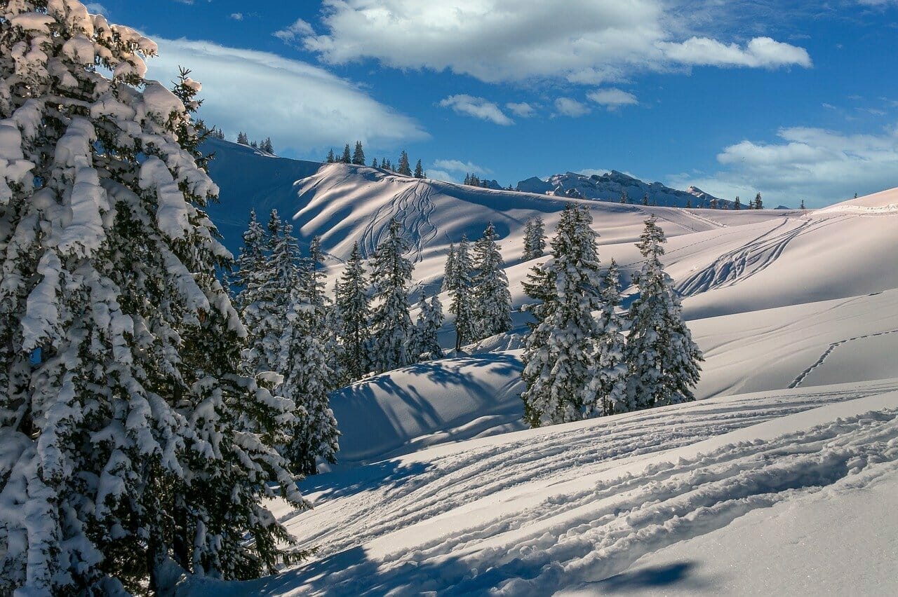 Lire la suite à propos de l’article Plan des pistes de Saint Collomban des Villards