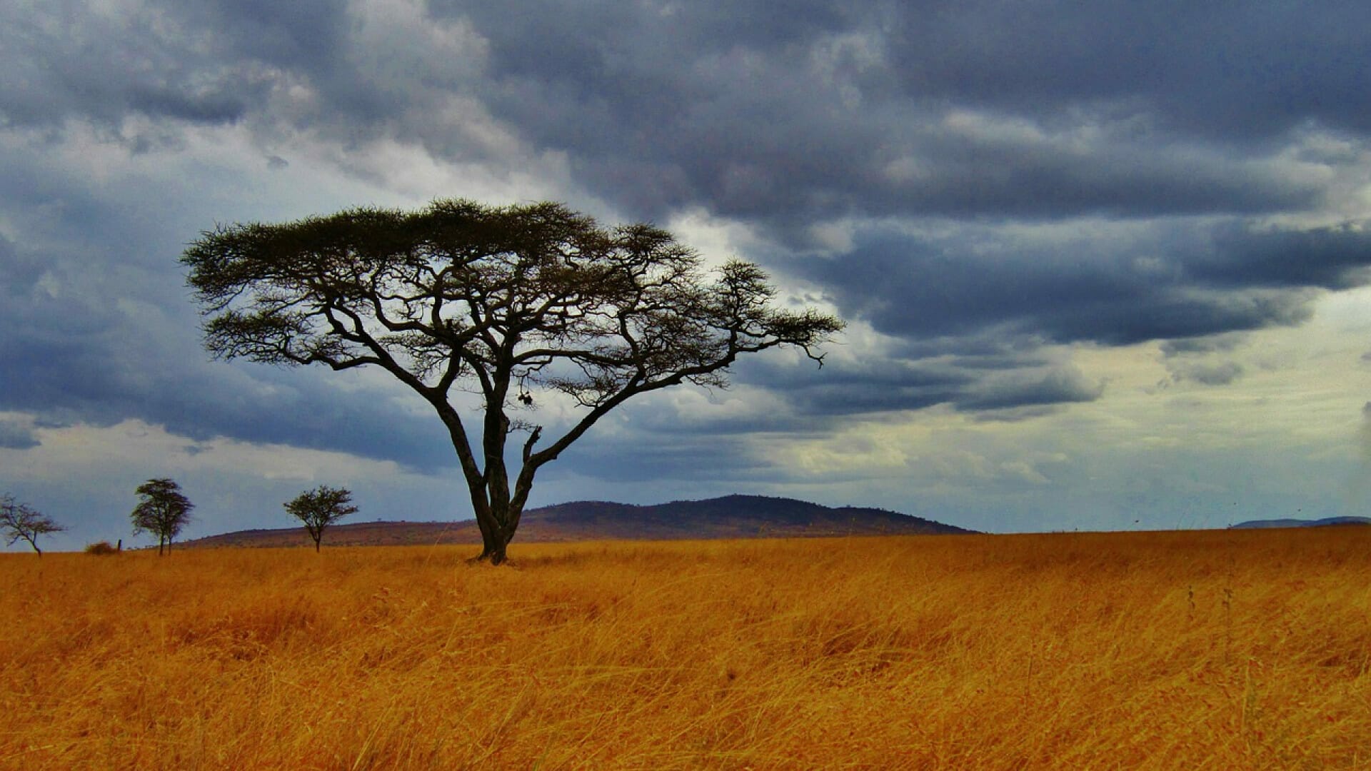 Lire la suite à propos de l’article Comment préparer son voyage en Tanzanie ?