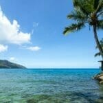 Seychelles : destination idyllique pour un mariage