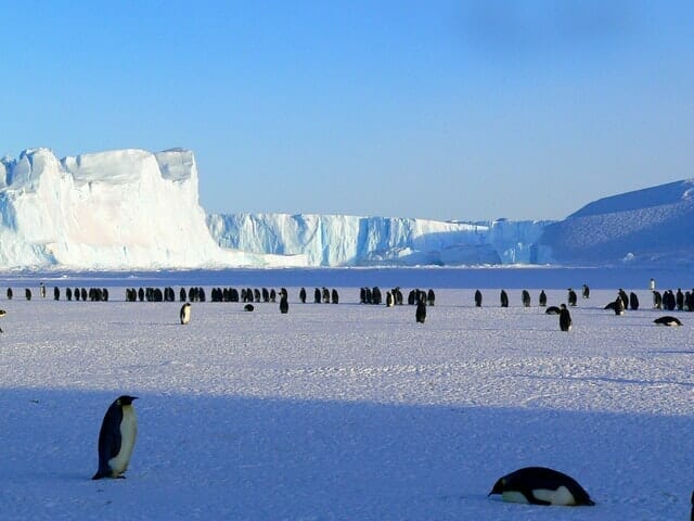 faire une croisière en Antarctique