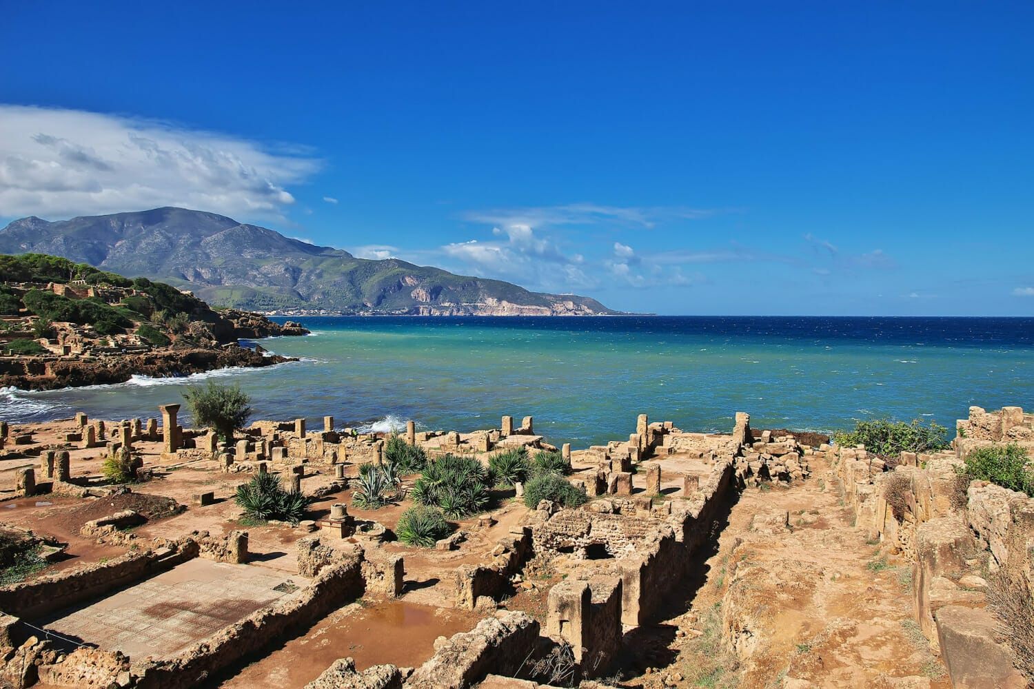 Lire la suite à propos de l’article 5 choses à ne pas manquer à Oran, Algérie