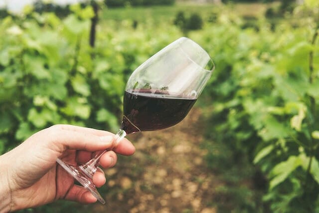 oenotouristique dégustation des Vins de la Loire, blanc et rouge
