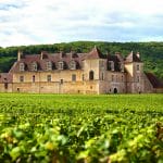 vignoble chateau de la Loire