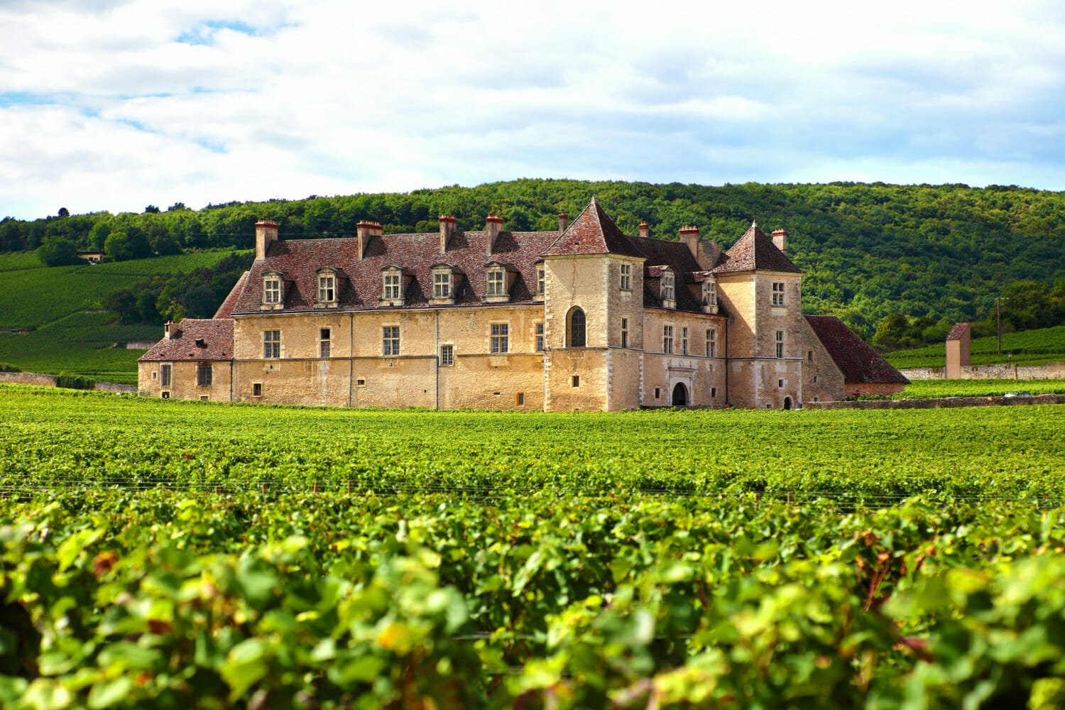 Lire la suite à propos de l’article La Route des Vins de Loire : quelle est la meilleure période pour la visiter ?