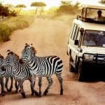 safari au kenya