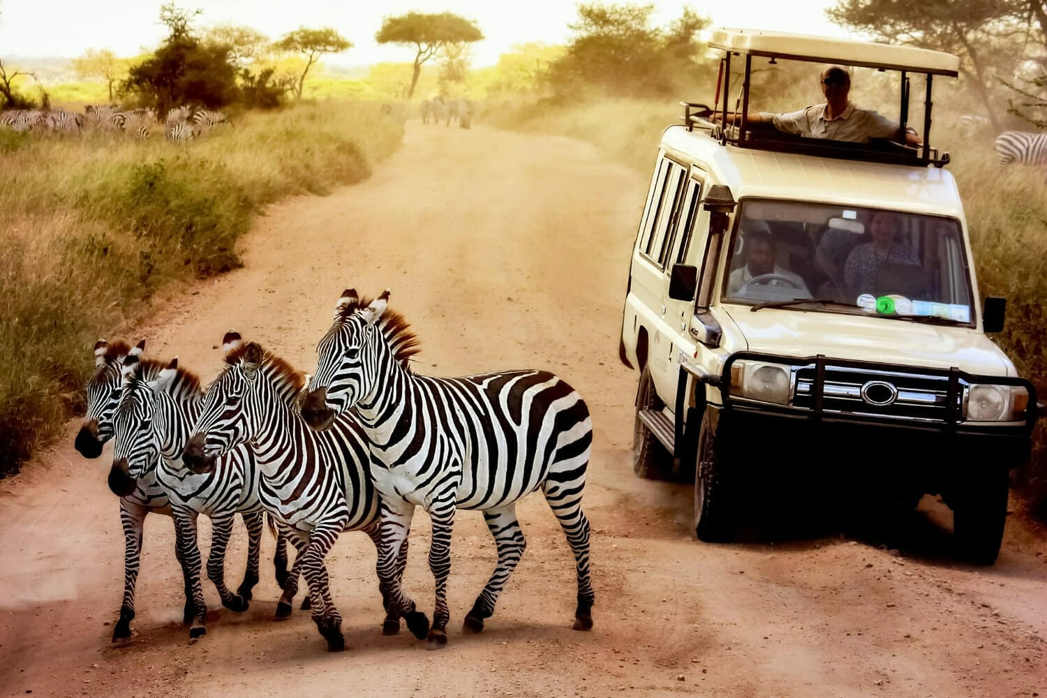 Lire la suite à propos de l’article Les safaris au Kenya : Découvrez les meilleurs parcs nationaux
