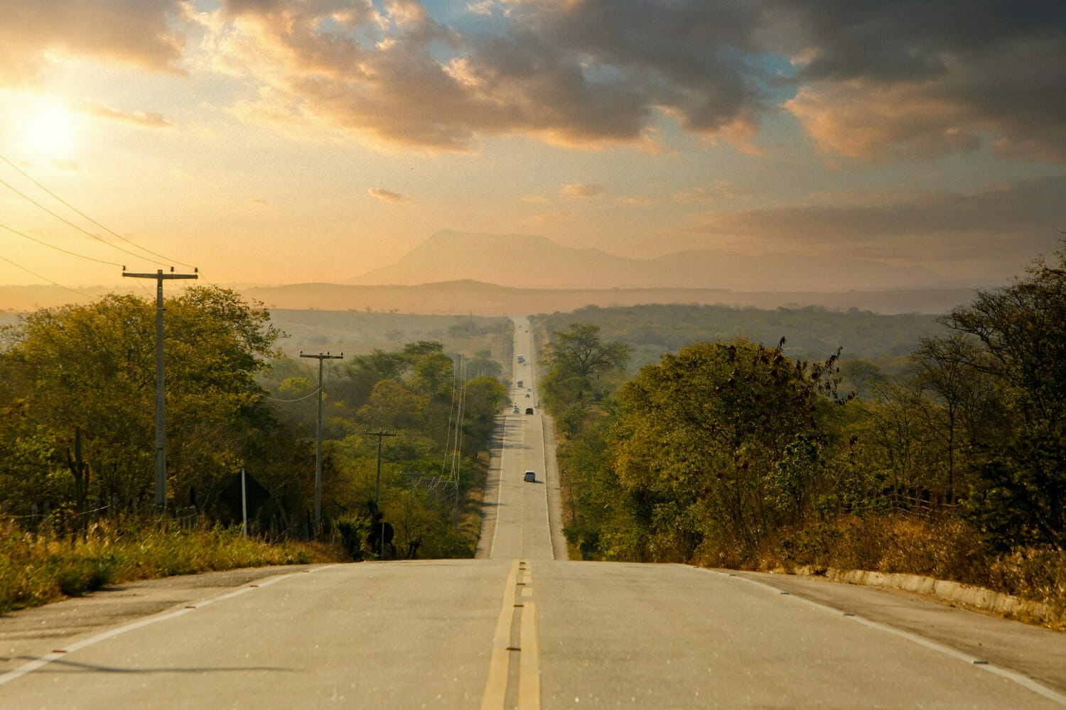 Lire la suite à propos de l’article Itinéraire de voyage au Costa Rica : de San José à Limón