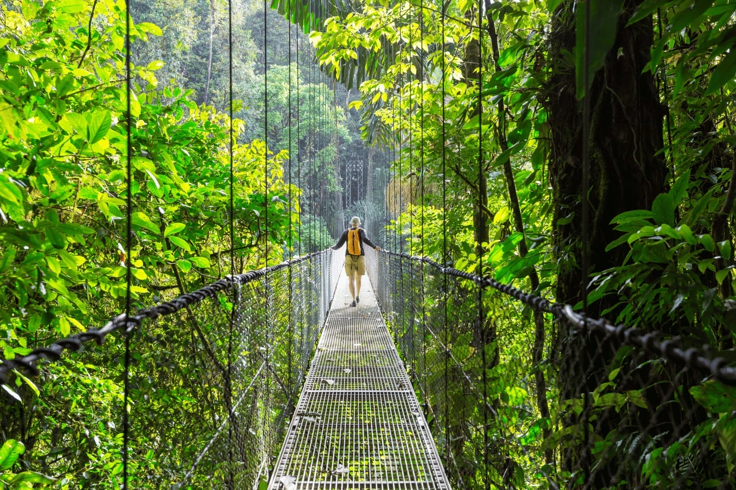 Lire la suite à propos de l’article Top 5 des parcs nationaux à ne pas manquer au Costa Rica pour une immersion en pleine nature