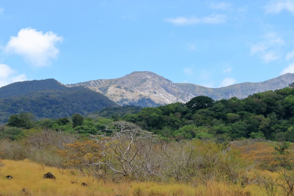 Paysage volcanique avec végétation luxuriante dans le Parc National Rincón de la Vieja au Costa Rica, illustrant l'écosystème vibrant et la diversité géologique.