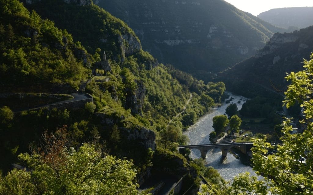 Cévennes : Gorges du Tarn