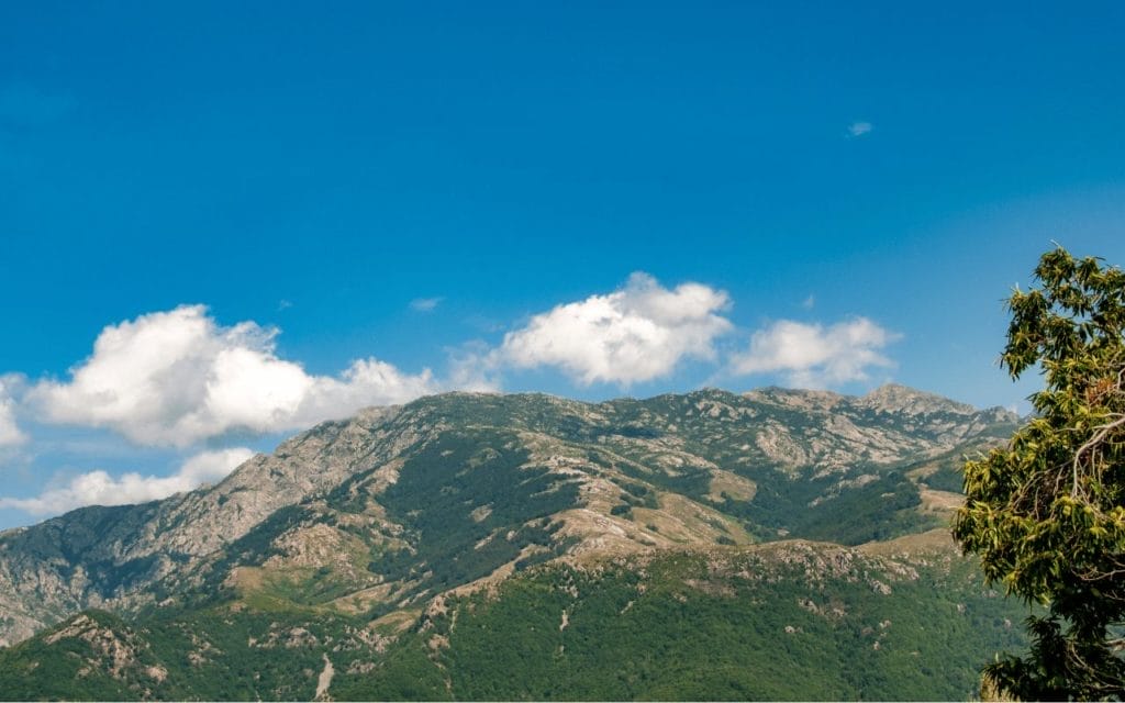 Mont Aigoual dans les Cévennes pour des vacances en pleine nature