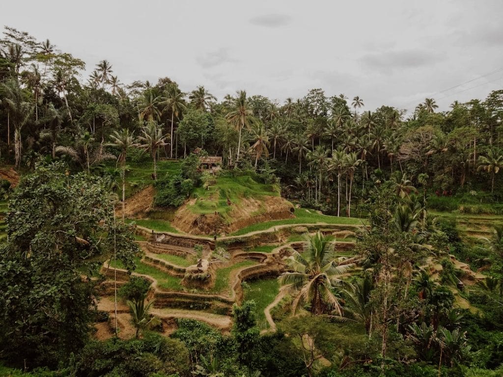 Le charme méconnu de la saison des pluies à Bali : Comment profiter de l'île sous un autre angle, saison des pluies Bali, activités pluvieuses authentiques à Bali, voyage Bali hors saison, nature luxuriante en saison humide, immersion culturelle à Bali, rencontres locales balinaises, traditions balinaises et temples, exploration de villages authentiques, aventure et safari à Bali, conseils météo pour Bali sous la pluie