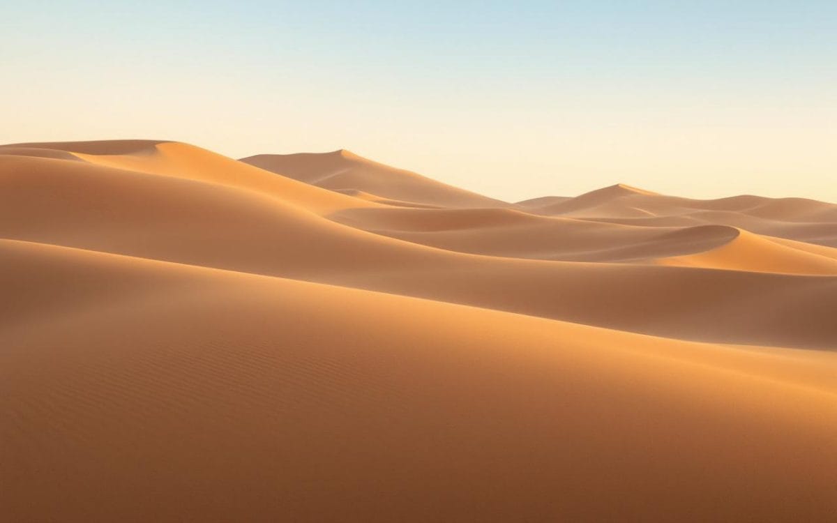 Un paysage naturel serein avec des dunes de sable doré, sous un ciel bleu dégagé, baigné par la lumière douce du soleil, créant une atmosphère tranquille.